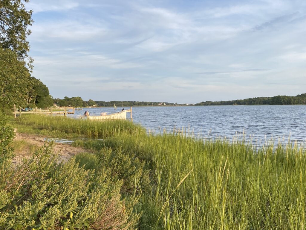 Beach view
